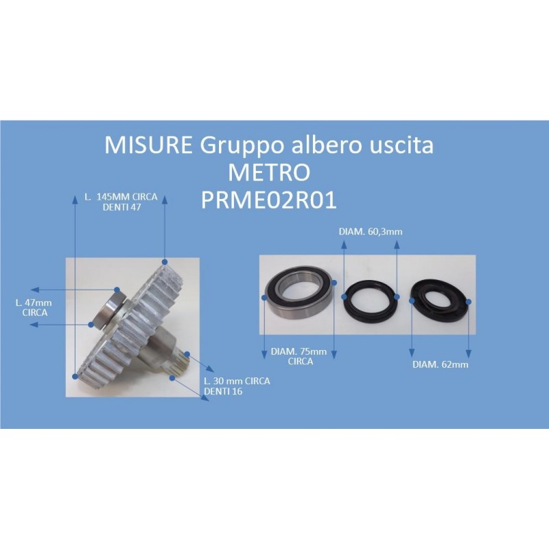 Output shaft unit METRO