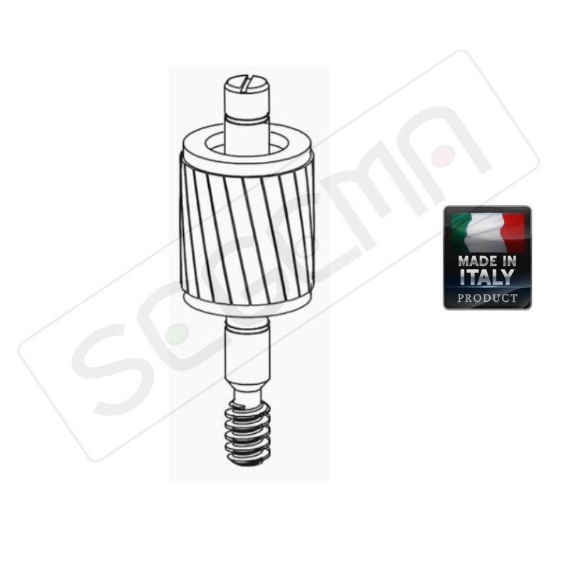 Rotore per motore 220V LEADER