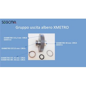 Output shaft unit  XMETRO
