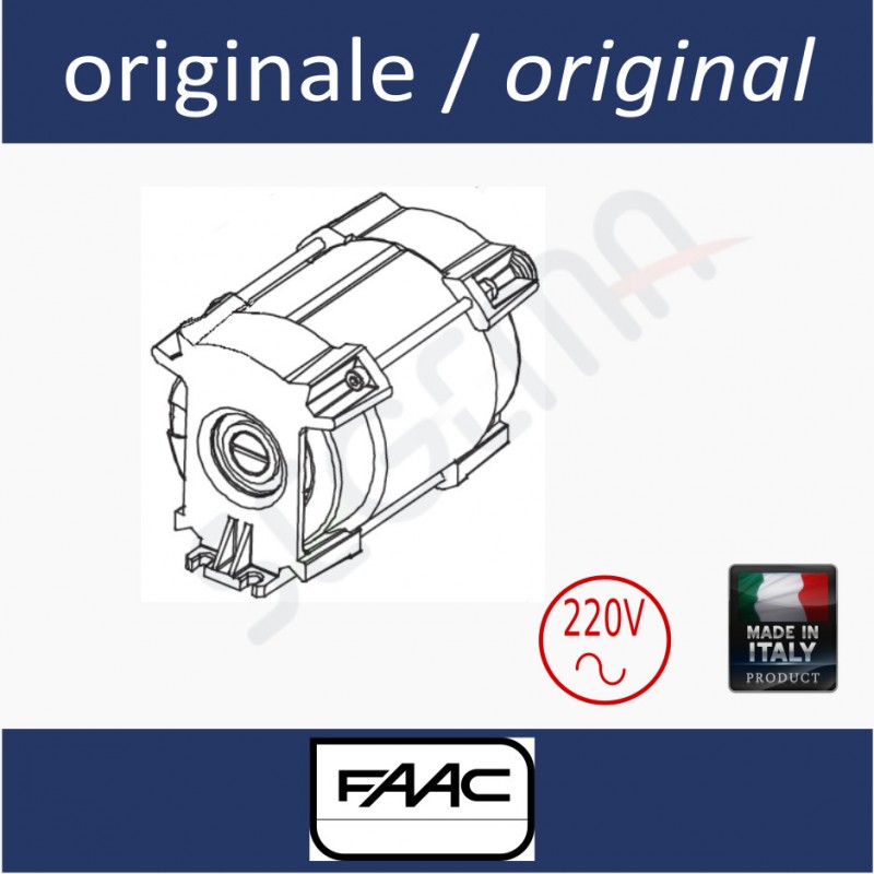 Electric motor 220V 413