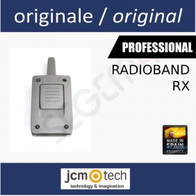 Receiver for RADIOBAND system